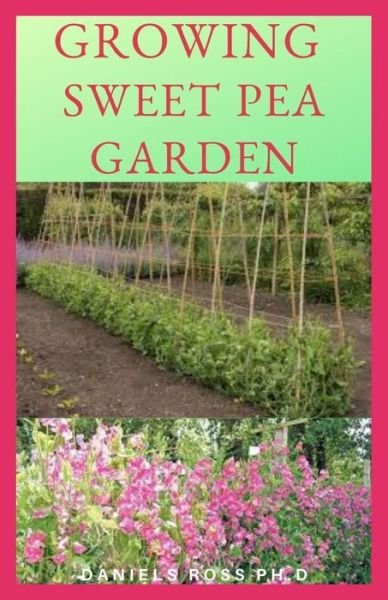 Cover for Daniels Ross Ph D · Growing Sweet Pea Garden (Paperback Book) (2020)