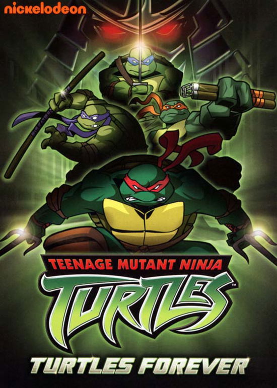 Cover for Teenage Mutant Ninja Turtles: Turtles Forever (DVD) (2010)