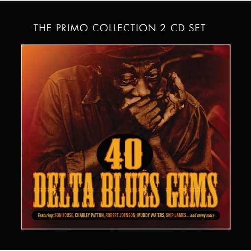 40 Delta Blues Gems - Various Artists - Musik - BLUES - 0805520091343 - 14. maj 2012