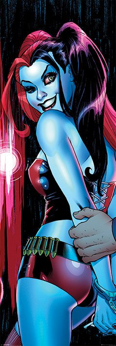 Cover for Dc Comics: Harley Quinn · Dc Comics: Harley Quinn - Wink (Poster Da Porta 53X158 Cm) (MERCH)