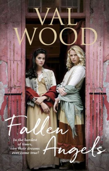 Cover for Val Wood · Fallen Angels (Paperback Book) (2017)