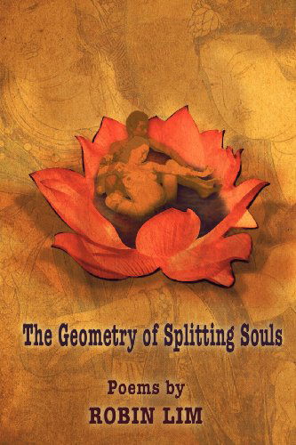 Cover for Robin Lim · The Geometry of Splitting Souls (Paperback Book) (2011)