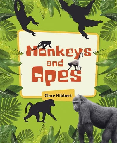 Cover for Clare Hibbert · Reading Planet KS2 - Monkeys and Apes - Level 4: Earth / Grey band - Rising Stars Reading Planet (Paperback Book) (2019)