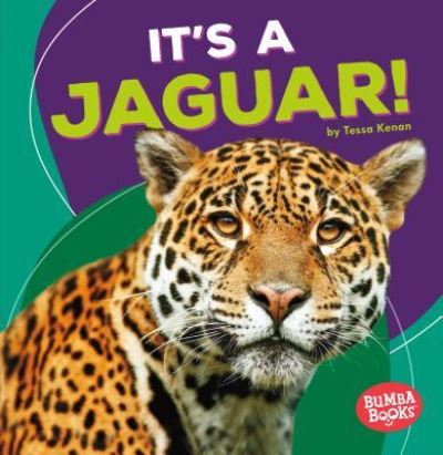 It's a Jaguar! - Tessa Kenan - Books - Lerner Publishing Group - 9781512429343 - 2017