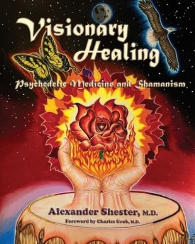 Cover for Alexander Shester · VISIONARY HEALING Psychedelic Medicine and Shamanism (Paperback Book) (2022)