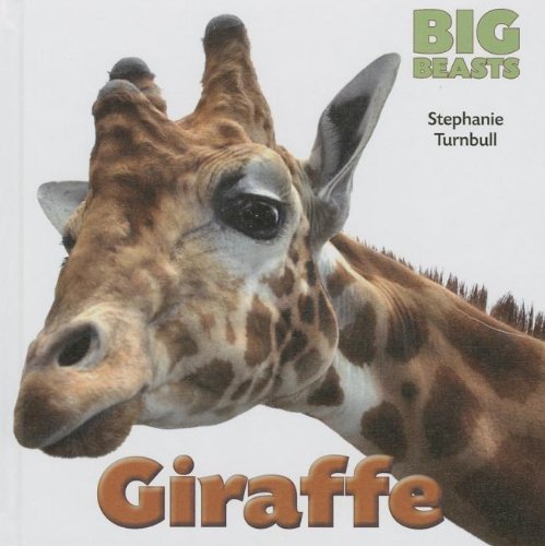 Cover for Stephanie Turnbull · Giraffe (Big Beasts) (Innbunden bok) (2013)