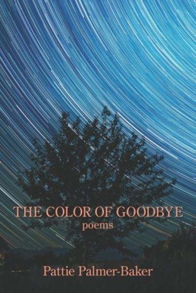 Cover for Pattie Palmer-Baker · The Color of Goodbye (Paperback Book) (2021)