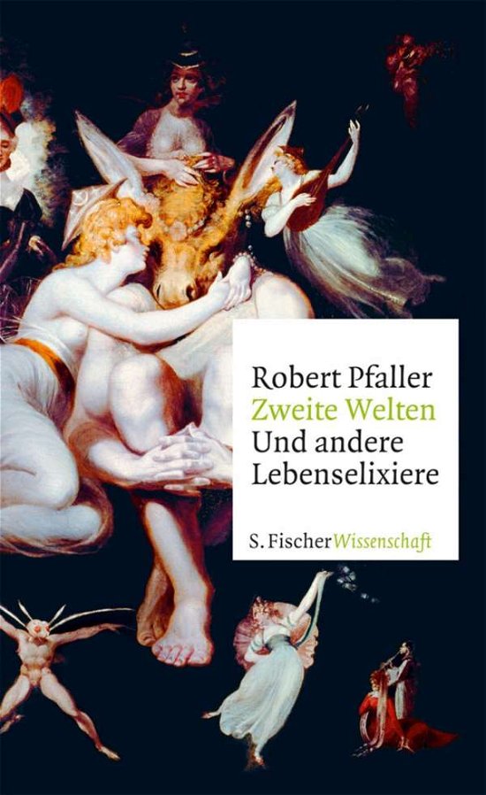 Cover for Pfaller · Zweite Welten (Book)