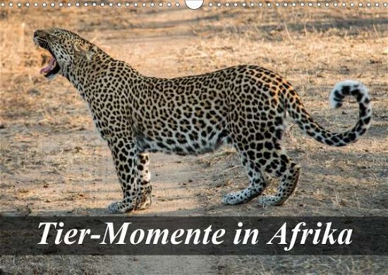 Cover for Janssen · Tier-Momente in Afrika (Wandkal (Book)