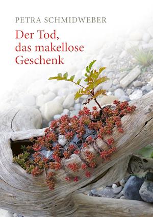 Cover for Petra Schmidweber · Der Tod, das makellose Geschenk (Paperback Book) (2016)