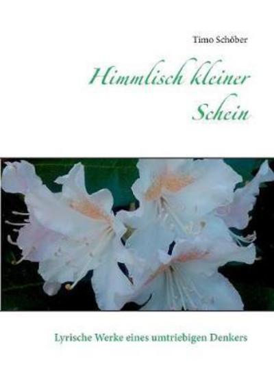 Cover for Schöber · Himmlisch kleiner Schein (Book) (2017)