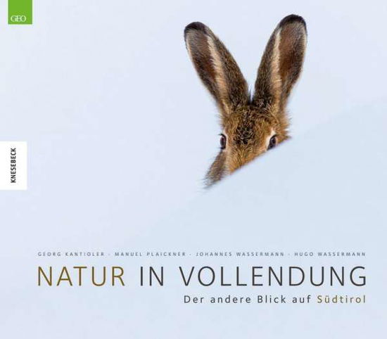 Cover for Wassermann · Natur in Vollendung (Book)