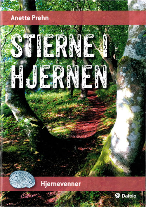 Cover for Anette Prehn · Stierne i hjernen (Sewn Spine Book) [1st edition] (2018)