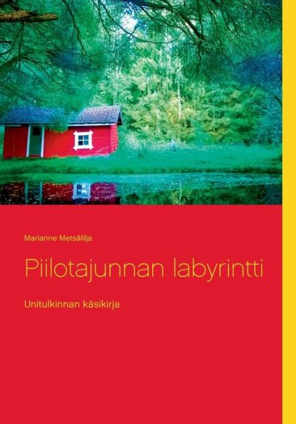 Cover for Metsälilja · Piilotajunnan labyrintti (Book) (2017)