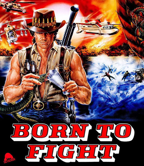 Born to Fight - Blu-ray - Movies - ACTION/ADVENTURE - 0760137111344 - December 13, 2022