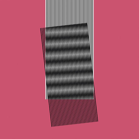 Cover for Hot Chip · Why Makes Sense (CD) (2015)