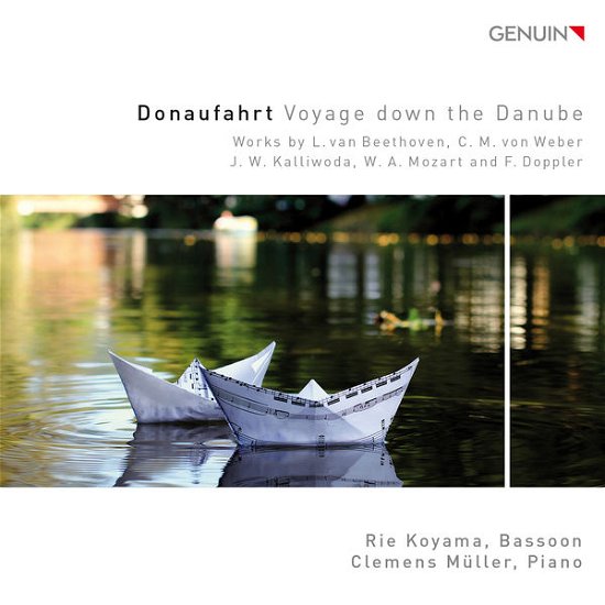Voyage Down The Danube - Koyamamuller - Musiikki - GENUIN CLASSICS - 4260036253344 - maanantai 5. tammikuuta 2015