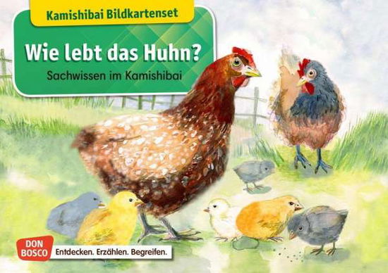 Cover for Stöckl-Bauer · Wie lebt das Huhn? Kamishi (Book)