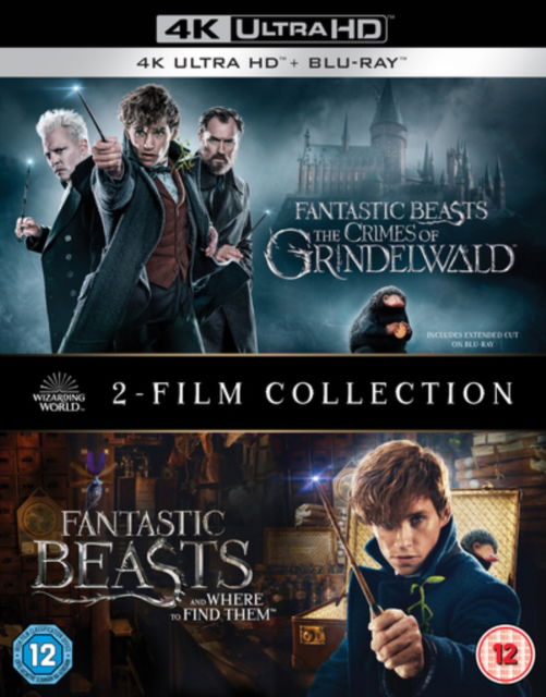 Cover for Fantastic Beasts 2 Movie Collection (4K Ultra HD/BD) (2019)