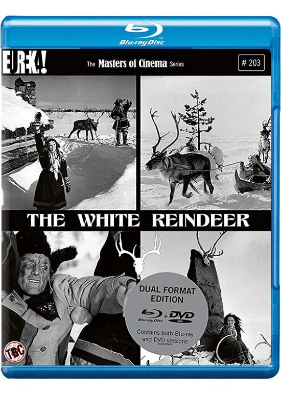Cover for THE WHITE REINDEER Masters of Cinema Dual Format Bluray  DVD · White Reindeer. The (Blu-ray) (2019)