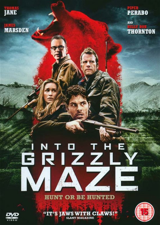 Into The Grizzly Maze - Movie - Filme - Signature Entertainment - 5060262853344 - 17. August 2015