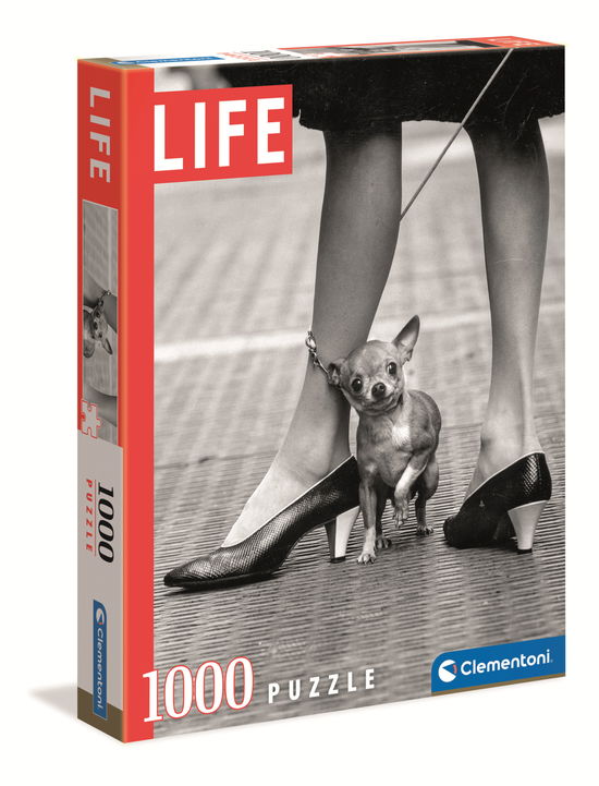 Cover for Life · LIFE - Chihuaua HQC (1000 stukjes) (Toys)