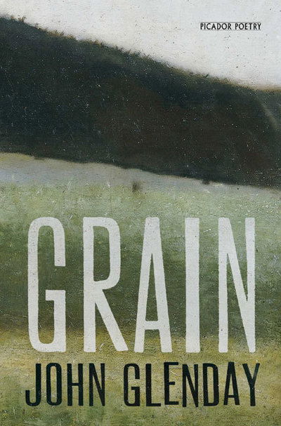 Cover for John Glenday · Grain (Paperback Bog) (2009)