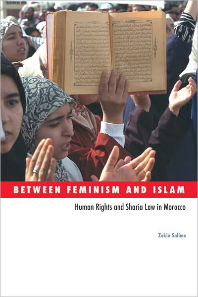Cover for Zakia Salime · Between Feminism and Islam: Human Rights and Sharia Law in Morocco - Social Movements, Protest and Contention (Taschenbuch) (2011)
