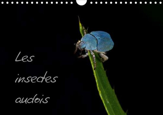 Cover for Ache · Les insectes audois (Calendrier mu (Bok)