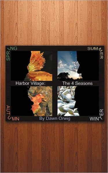 Cover for Dawn Orwig · Harbor Village: the 4 Seasons (Paperback Book) (2011)
