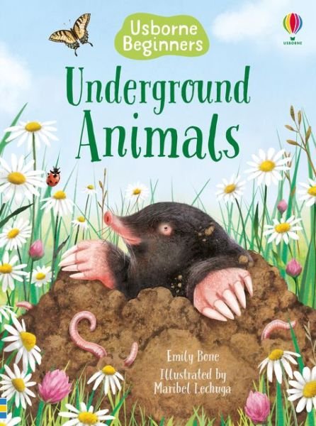 Underground Animals - Beginners - Emily Bone - Books - Usborne Publishing Ltd - 9781474979344 - February 6, 2020