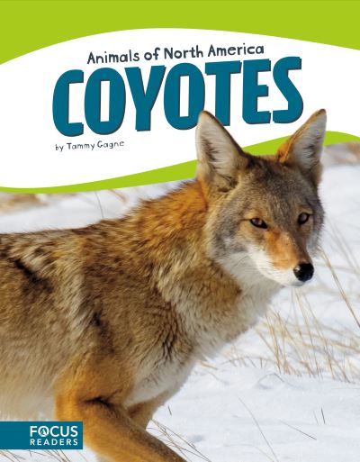 Cover for Tammy Gagne · Coyotes (Book) (2017)