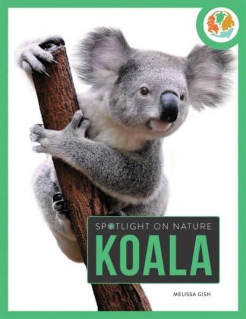 Cover for Melissa Gah · Spotlight on Nature: Koala - Spotlight on Nature (Paperback Book) (2021)