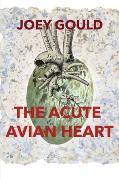 Cover for Joey Gould · The Acute Avian Heart (Paperback Book) (2019)