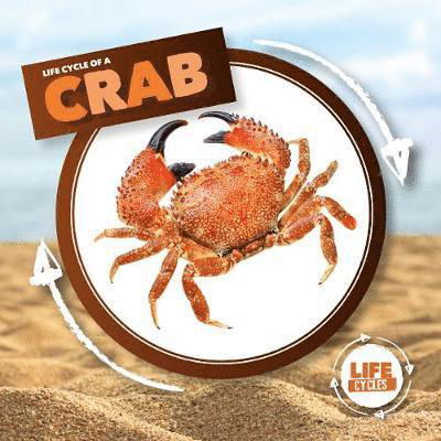 Crab - Life Cycle of A... - Kirsty Holmes - Books - BookLife Publishing - 9781786379344 - 2020