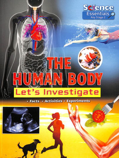 Cover for Ruth Owen · The Human Body: Let's Investigate - Science Essentials (Pocketbok) (2019)