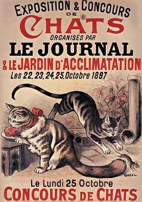 Carnet Blanc Exposition et Concours De Chats - Roedel - Bøger - Hachette Livre - Bnf - 9782011168344 - 1. marts 2016