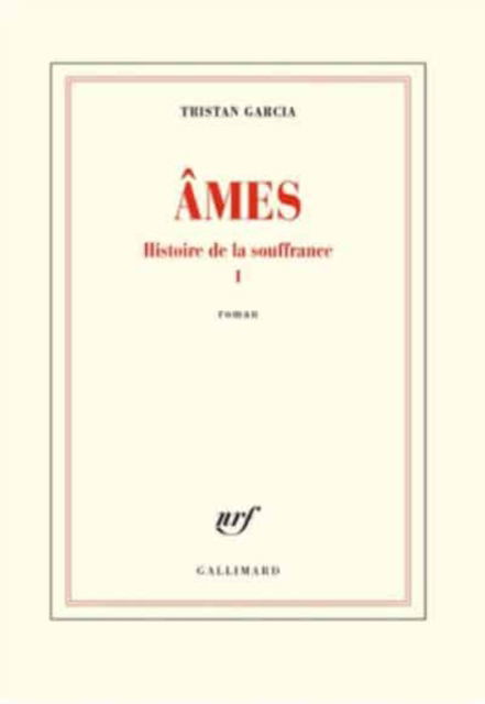 Cover for Tristan Garcia · Histoire de la souffrance 1: Ames (MERCH) (2019)