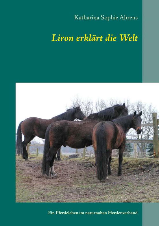 Cover for Ahrens · Liron erklärt die Welt (Book)