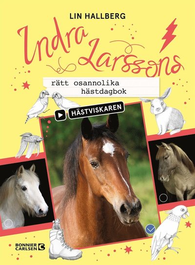 Hästviskaren: Indra Larssons rätt osannolika hästdagbok - Lin Hallberg - Livres - Bonnier Carlsen - 9789179753344 - 24 août 2020