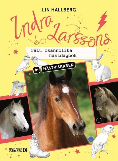 Cover for Lin Hallberg · Hästviskaren: Indra Larssons rätt osannolika hästdagbok (ePUB) (2020)
