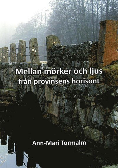 Cover for Ann-Mari Tormalm · Mellan mörker och ljus : från provinsens horisont (Book) (2014)