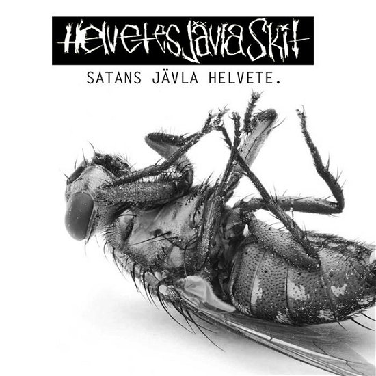 Satans Jävla Helvete - Helvetes Jävla Skit - Musikk - GRIND TO DEATH RECORDS - 9956683045344 - 4. juni 2021