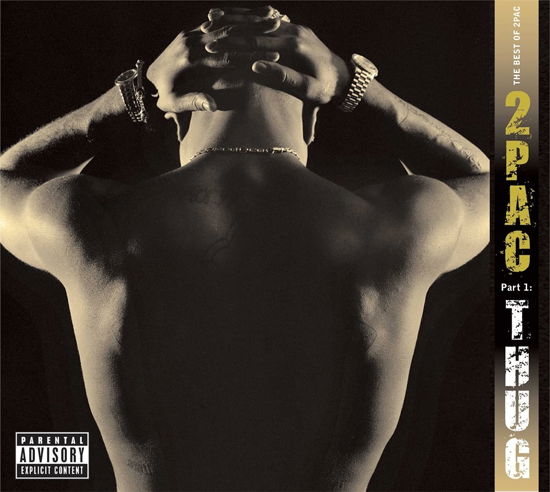 Cover for 2pac · Best Of 2pac Pt 1: Thug (LP) (2021)