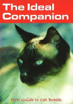 Cover for Ideal Companion DVD · The Ideal Companion: Guide to Cat Breeds (DVD) (2005)