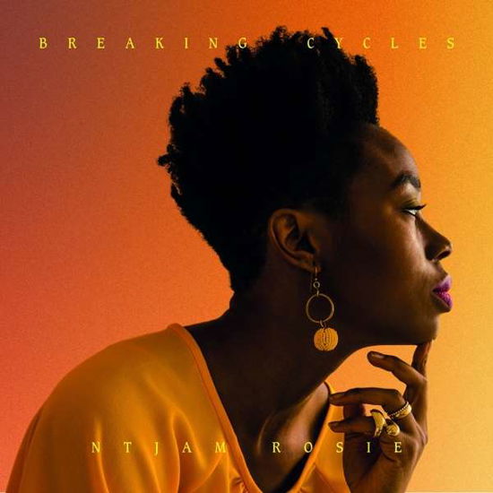 Cover for Ntjam Rosie · Breaking Cycles (CD) (2018)