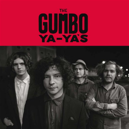 Cover for Gumbo Ya-ya's · Wild And Confused (LP) (2015)