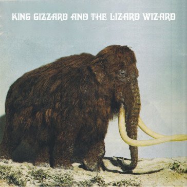 Cover for King Gizzard And The Lizard Wizard · Polygondwanaland (LP) [Fuzz Club edition] (2021)