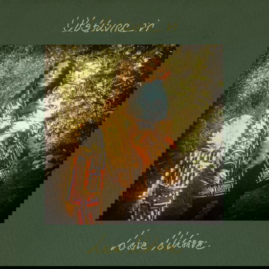 Cover for Lisa Nilsson · Uteblivna Vi (LP) (2025)