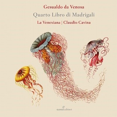 Cover for La Venexiana · Quarto Libro Di Madrigali (CD) (2022)